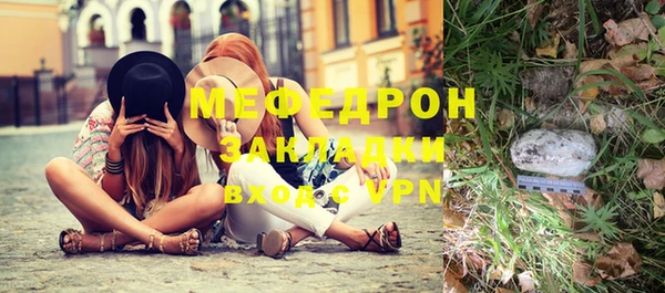 мдпв Богданович