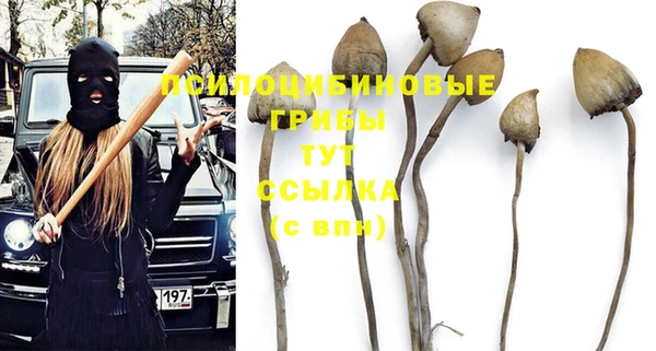 мдпв Богданович