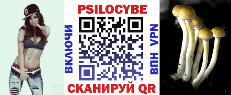 Псилоцибиновые грибы MAGIC MUSHROOMS  Купить  Волоколамск 